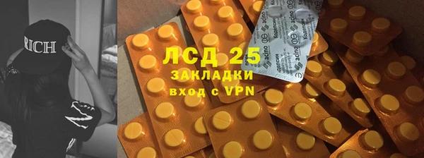 стаф Михайловск