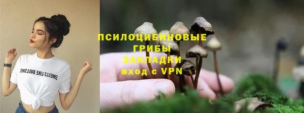 Альфа ПВП Нефтекумск