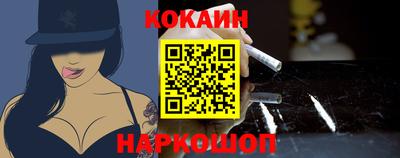 крисы Гатчина