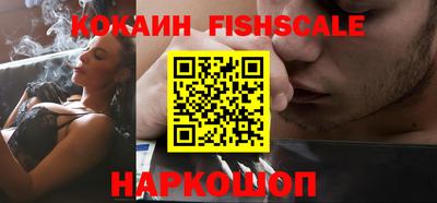 крисы Гатчина
