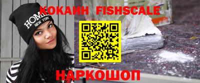 крисы Гатчина
