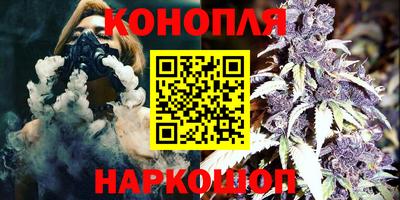 крисы Гатчина