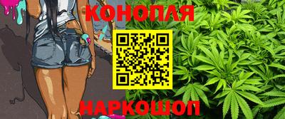 крисы Гатчина