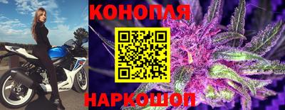 крисы Гатчина