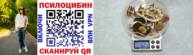 купить наркотики цена  Лосино-Петровский  Галлюциногенные грибы мухоморы 