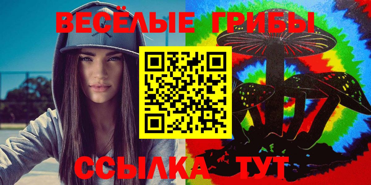Лосино-Петровский  Галлюциногенные грибы Psilocybine cubensis  Галлюциногенные грибы прущие грибы  Вход с VPN 
