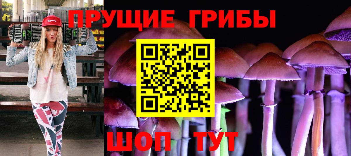 Псилоцибиновые грибы прущие грибы  Лосино-Петровский 